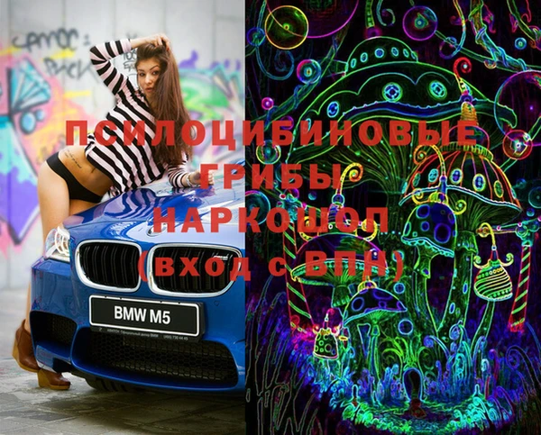 PSILOCYBIN Балахна