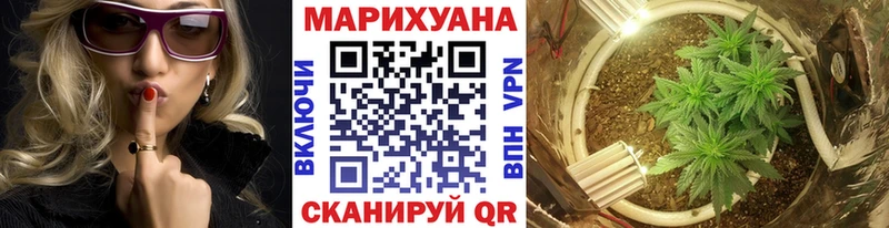 МАРИХУАНА семена Певек